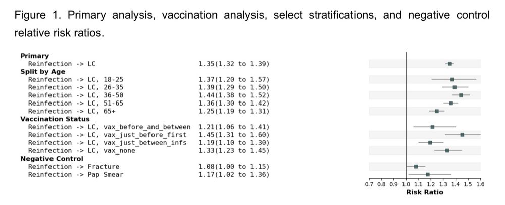 Figure 1. Primary analysis, vaccination analysis, select stratifications, and negative control relative risk ratios.
