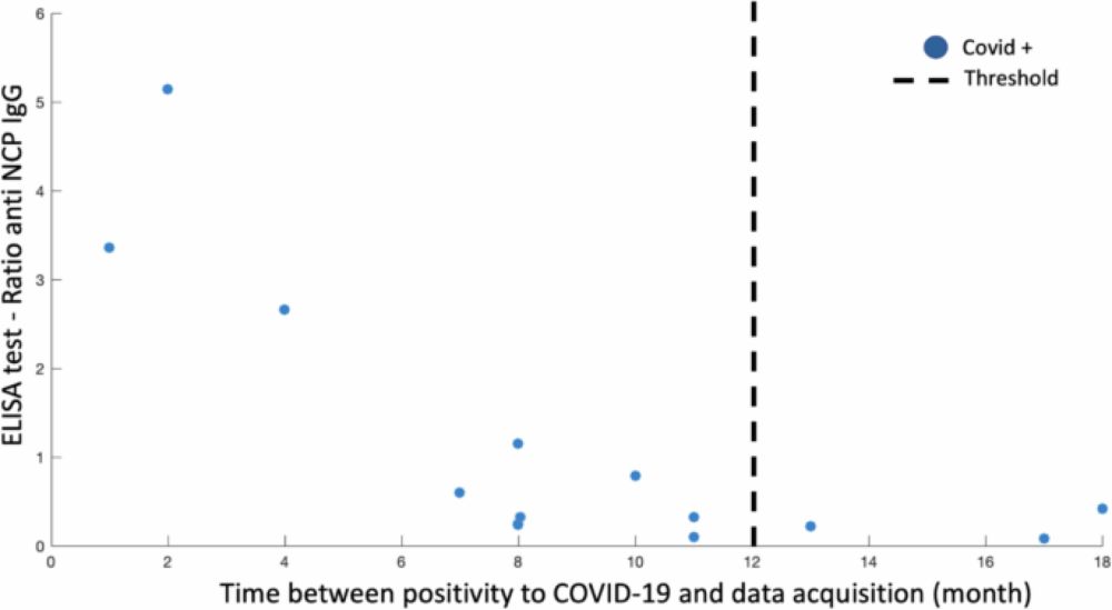 COVID-19 related cognitive, structural and functional brain changes among Italian adolescents and young adults: a multimodal longitudinal case-control study - Translational Psychiatry