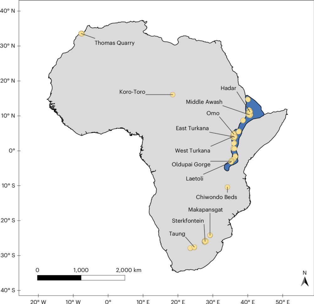 Spatial sampling bias influences our understanding of early hominin evolution in eastern Africa