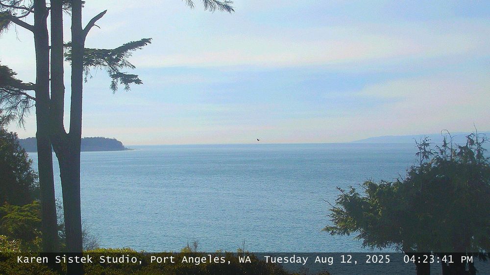 Web camera image of Port Angeles. 