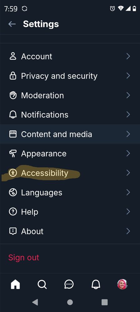Settings options for Bluesky with accessibility highlighted 