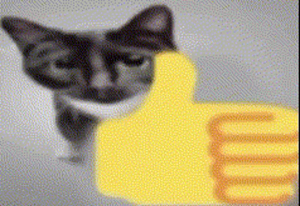 a cat is giving a thumbs up next to a yellow hand