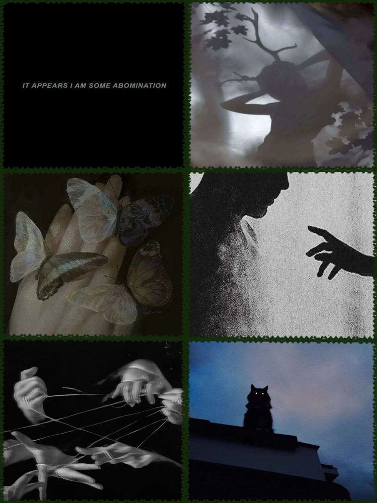 A mood board containing 1 quote and five pictures, interlaced with a green trimmed border to each. The quote in the top left corner reads, in white text over a black background, “It Appears I Am Some Abomination” 2nd Picture: In a smokey black and white forrest, a woman clutches her head sorrowfully in front an entanglement of trees and leaves. 3rd Picture: A washed out hand holds three butterflies with each having a translucent wing, the other half greyed out white, purple, and yellow, from left to right. 4th Picture: The dissipating silhouette of a man stares blankly at a hand reaching from off screen, no expression in their face reflecting the grainy white background. 5th Picture: Six black and white blurred hands off screen tangle a web of string between all of them, stretching them in a crude grid-esque shape. 6th Picture: On top of a stone building, the silhouette of a fluffy, mischievous, puffy cat stares with solid white eyes as the horizon compliments the darkness of their fluffy outline. 
