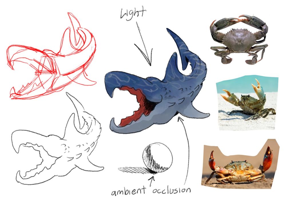 An illustration of a monster with a shark body and crab claw head. The drawings on the left are sketches and the images on the right are reference photos of crabs. 