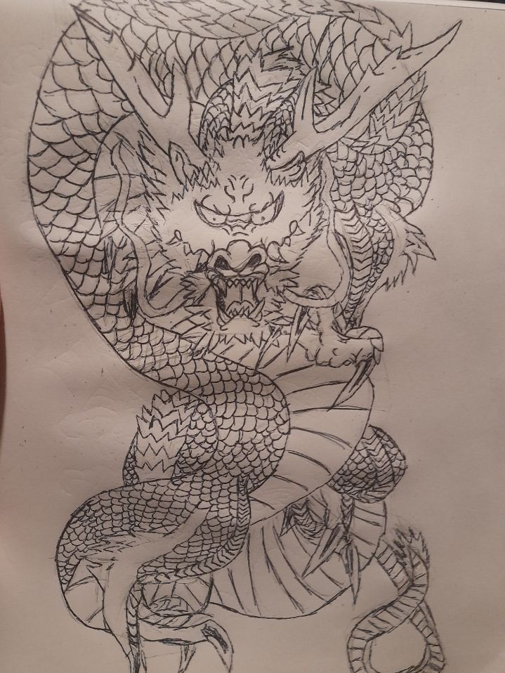 Pen drawing of an Eastern style dragon facing the viewer, curled around itself