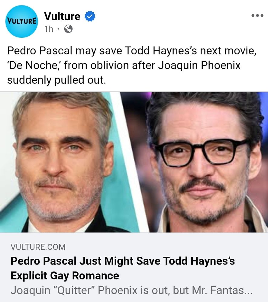 Pedro pascal may save todd haynes's next picture
