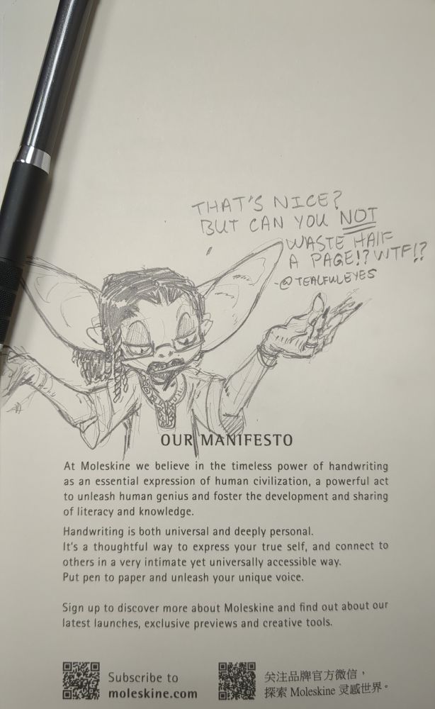Self portrait sketch of Tealful Eyes looking down at the Manifesto of Moleskins saying "THATS NICE? BUT YOU CAN YOU NIT WAS HALF A PAGE!WTF!?"