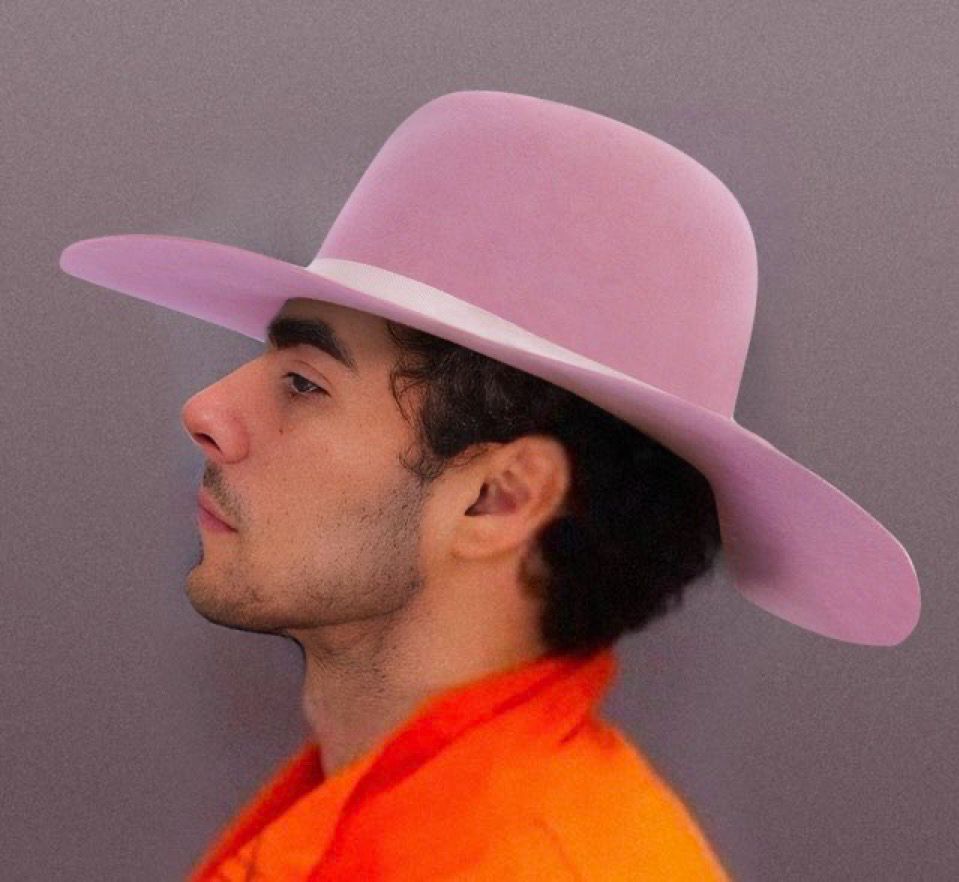 Luigi as lady Gaga Joanne 