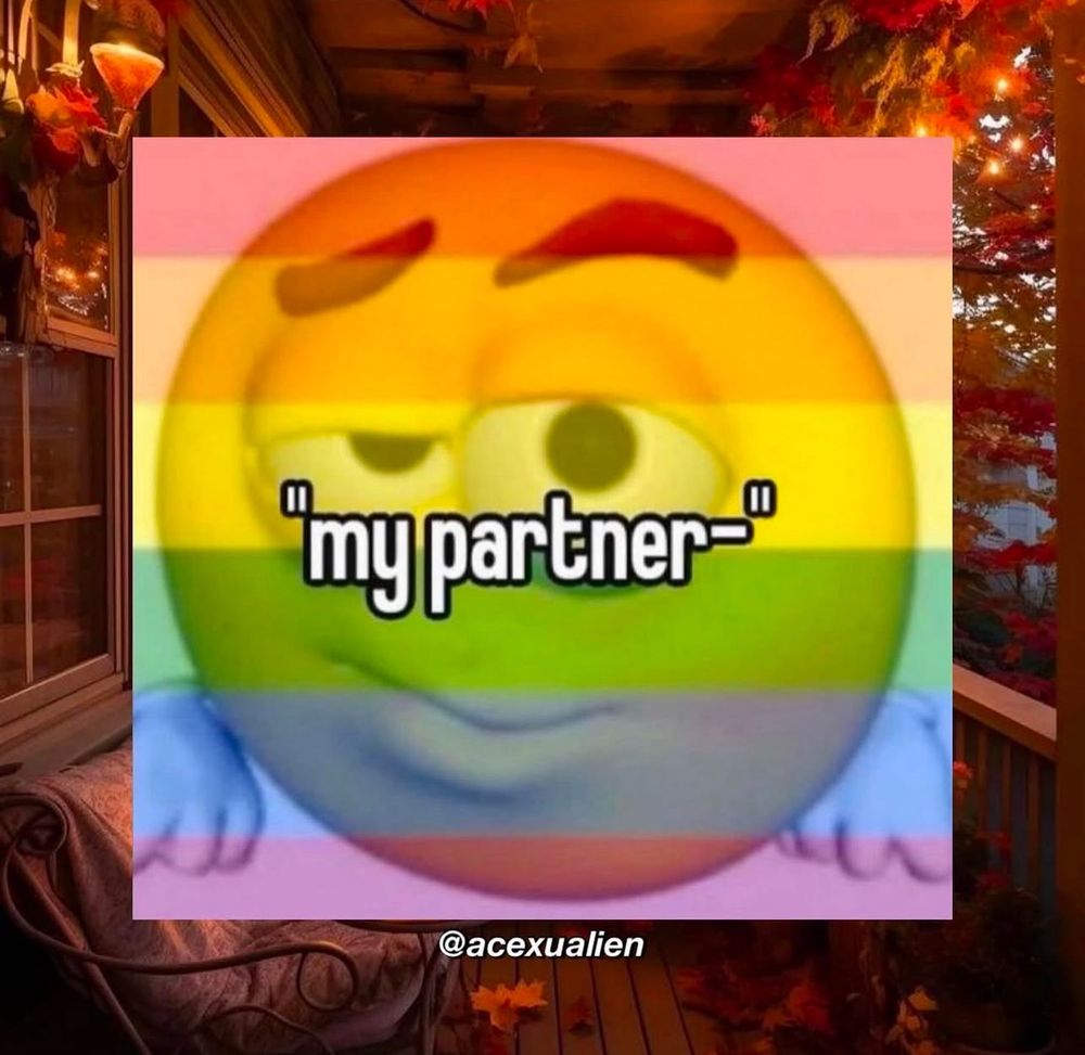 “My partner” with confused face behind gay flag