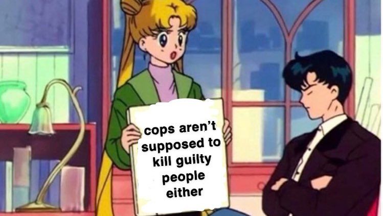A scene from the anime Sailor Moon where Usagi is holding a sign in front of Mamoru.  Mamoru is sitting with his arms folded and his eyes closed.

The sign Usagi is holding says :Cops aren't supposed to kill guilty people either.: