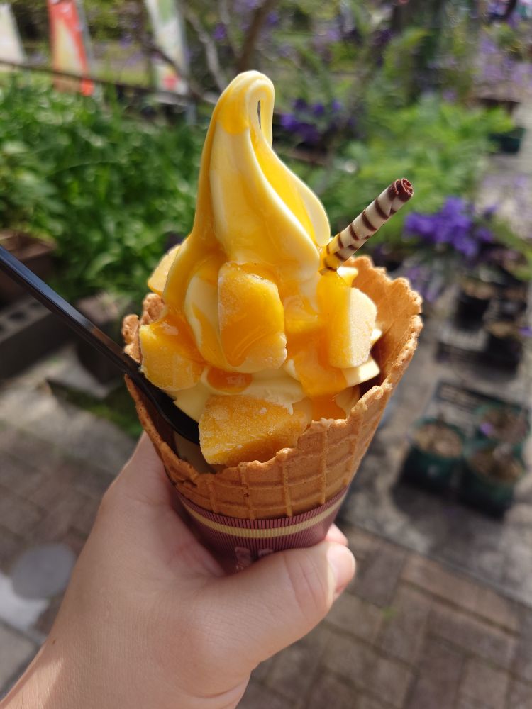 マンゴーーーー！