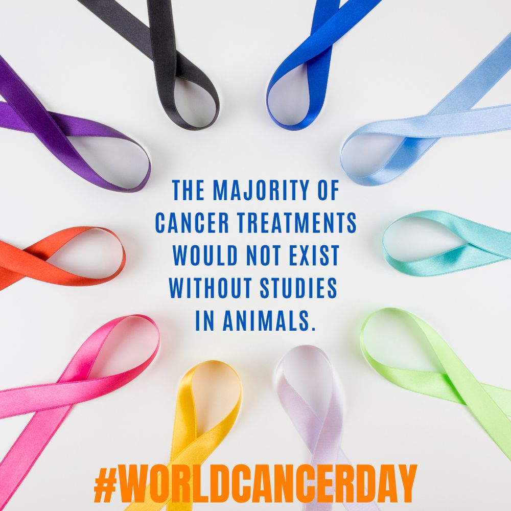 The majority of cancer treatments would not exist without studies in animals.
#WorldCancerDay