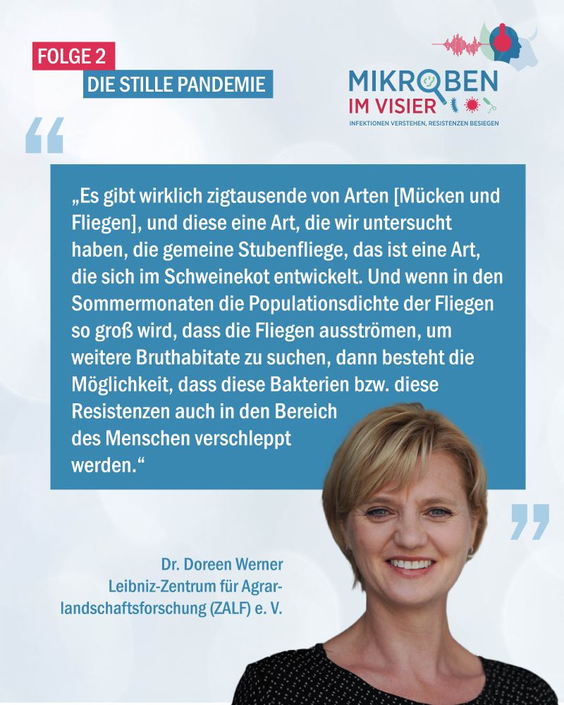 Dr. Doreen Werner vom Leibniz-Zentrum für Agrarlandschaftsforschung (ZALF) e.V. stellt ihr Citizen Science Projekt vor, welches im Verbund durchgeführt wurde