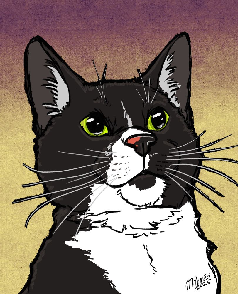 bust of a tuxedo cat