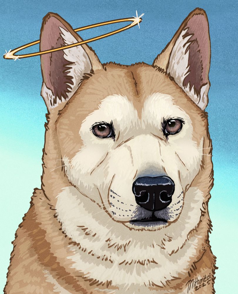 A shibe with a halo above right ear.