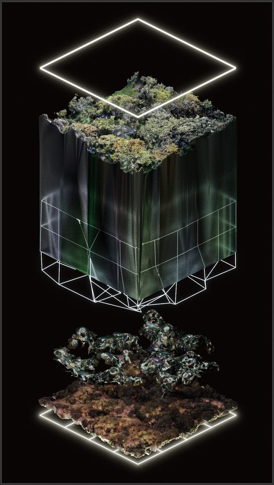3d rendering of a slice of a scan of some bushes and multiple layers underneath