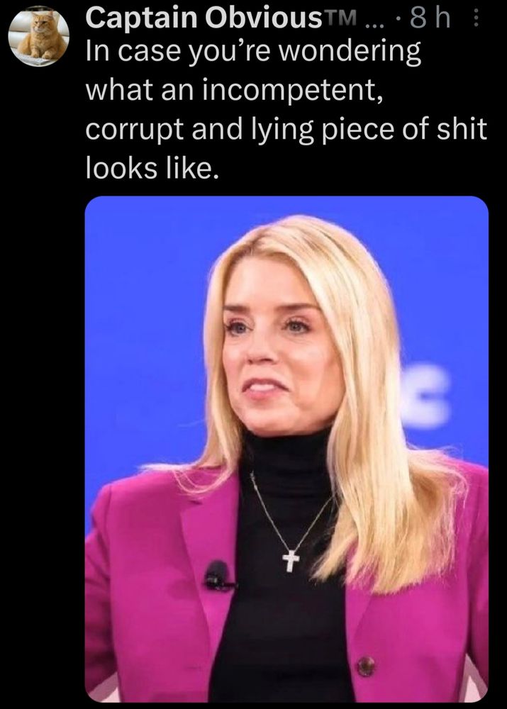 Portrait of a corrupt neo nazi.