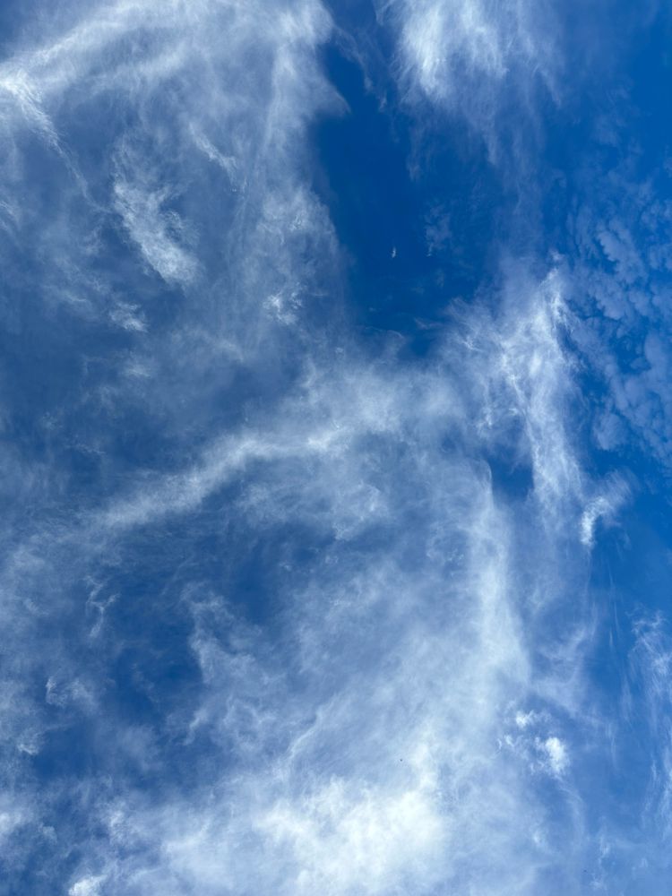 A photo of the sky from below, looking up at wispy white clouds marbled against a blue backdrop 
