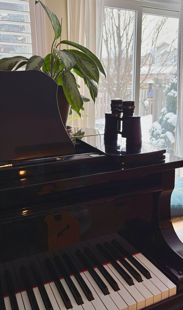 A partial view of a black grand piano with a houseplant and binoculars on top, and a snowy backyard in the background.