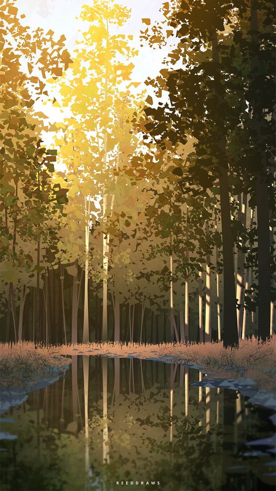 Digital painting of a forest landscape. Warm, golden light shines from above. The scene is reflected in a still stream below.