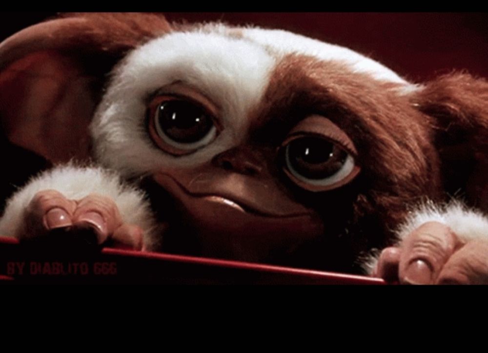 Gizmo from Gremlins 