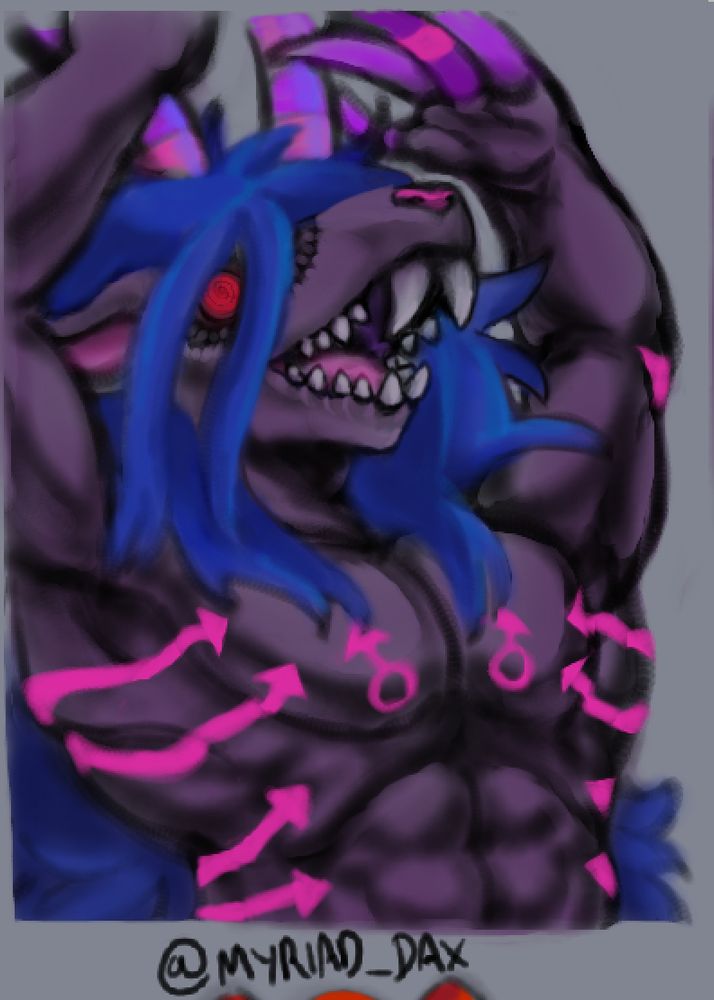 Midnight Marquis Purlebb