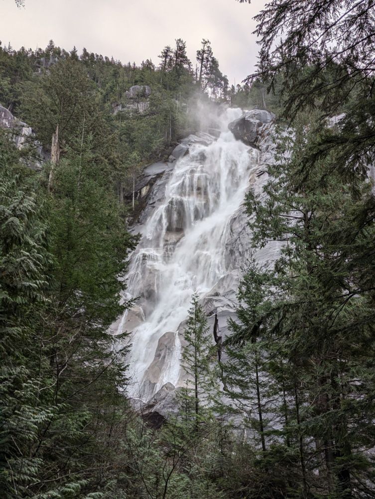 High and rushing waterfall flanked by trees on both sides