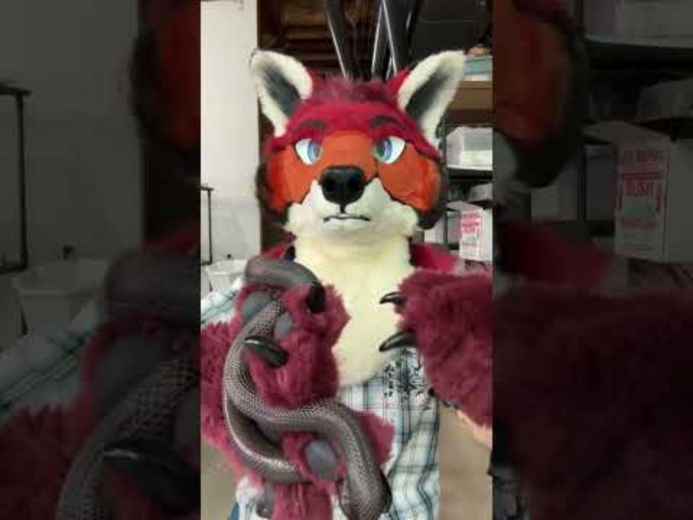 Spicy Noodle, Meet Yote