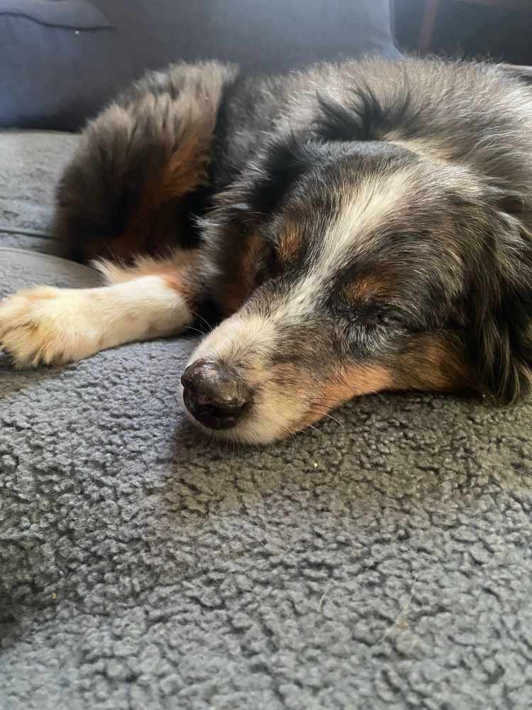 same pic but he’s shut his eyes 