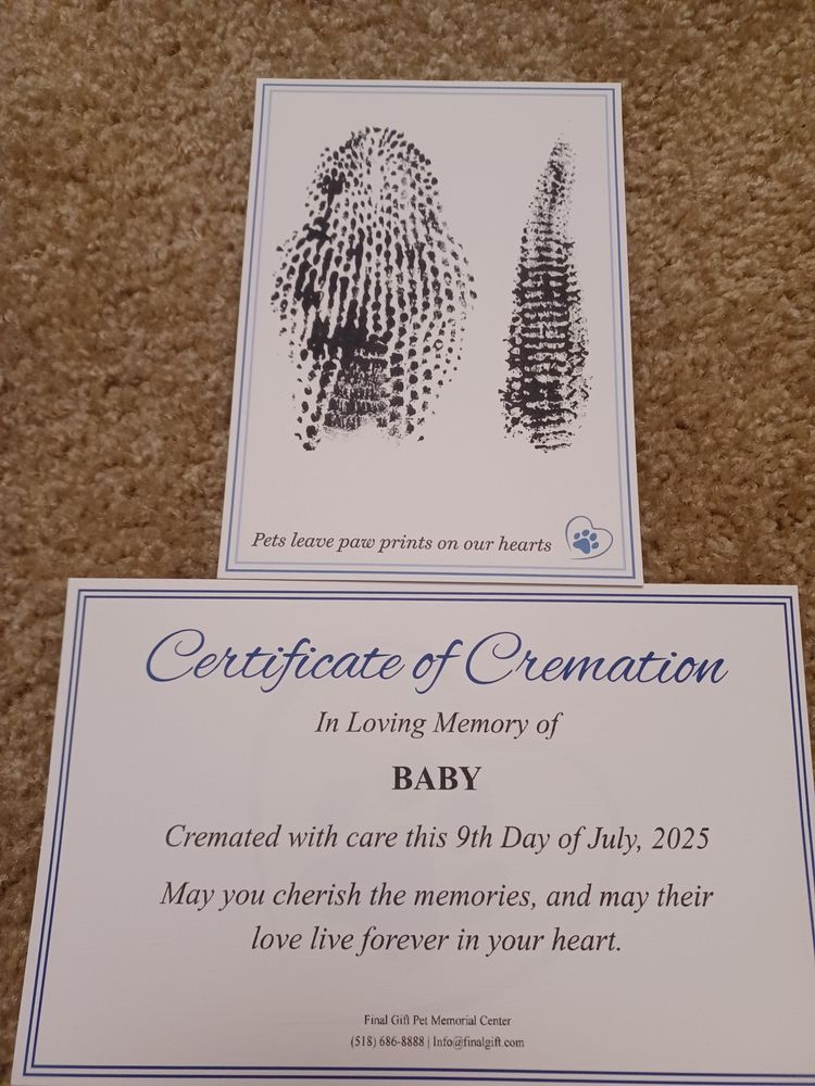image of an ink print of baby the snake's scale pattern and a certificate of cremation that says "in loving memory of Baby, cremated with care this 9th day of july, 2025.  May you cherish the memories and may their love live forever in your heart"