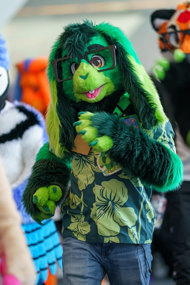 Green anthropomorphic rabbit in green hawaiian shirt with nerd glasses