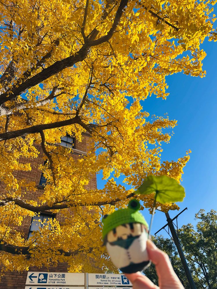 カエルのころてつさん