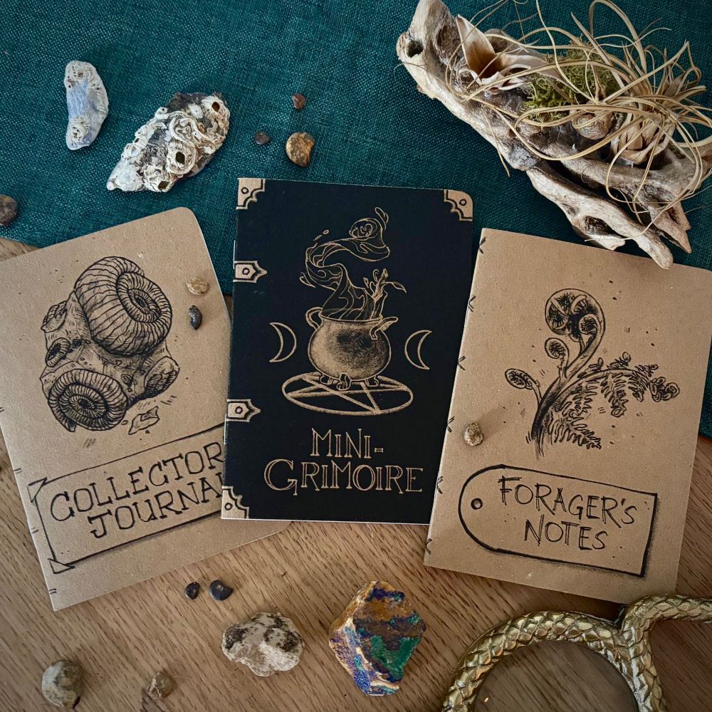 A photo of 3 Kraft notebooks, a collectors journal with a fossil, a mini grimoire with a cauldron, and foragers notes with a fern