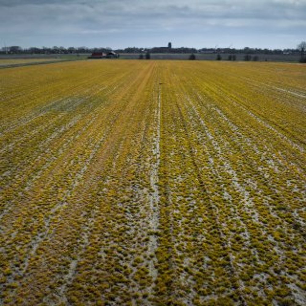 Pesticiden nog lang in de verre omgeving terug te vinden