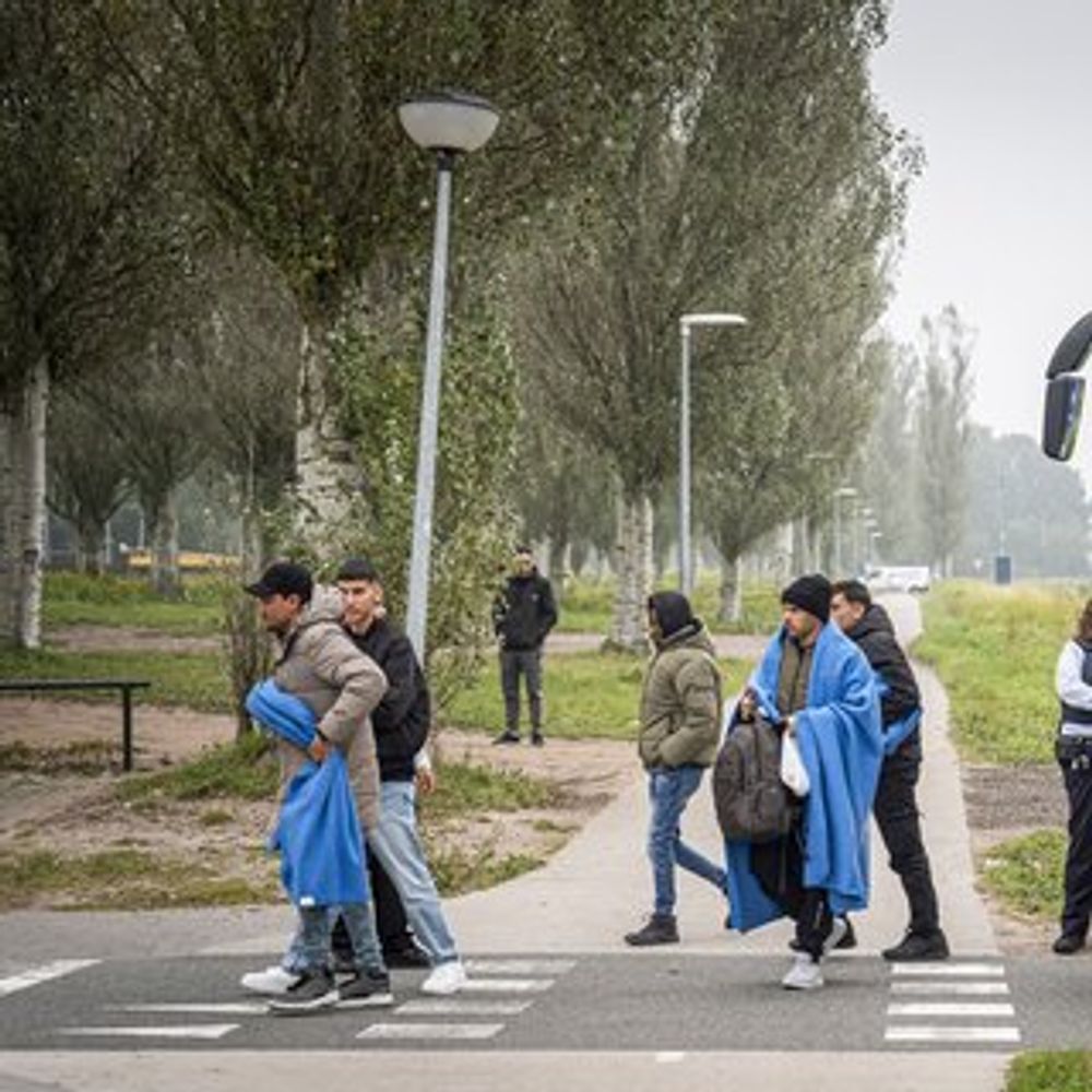 Asielnoodmaatregel kabinet scheelt hooguit 0,3 procent immigratie per jaar