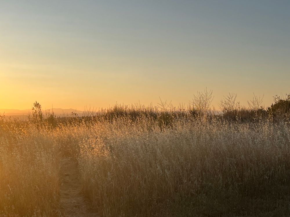 Early Morning View - Looking east from Cameron Park, California toward the distant mountains near Lake Tahoe. What perfect weather. 
