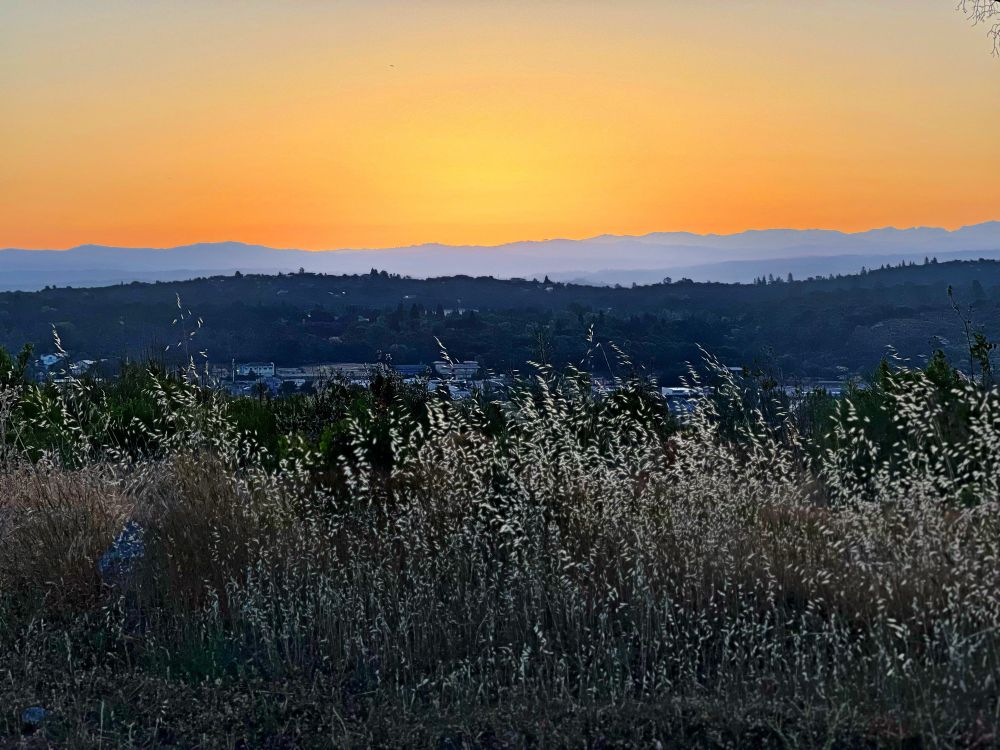 Morning song, El Dorado County, California.