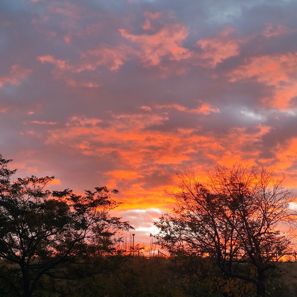 Fotografía del cielo. Está nublado y las nubes tienen tonalidades naranjas. En la parte baja de la fotografía se ven unos árboles.