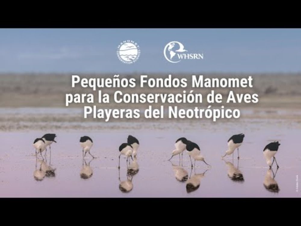 Webinar - Pequeños Fondos Manomet 2025