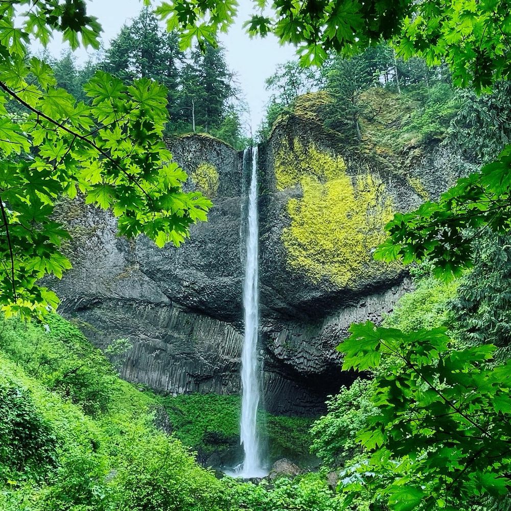 Latourell Falls as seen through trees on the walk to the base. 