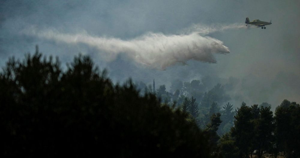 Israel at war, day 355: IDF chief says army 'preparing' for Lebanon ground op