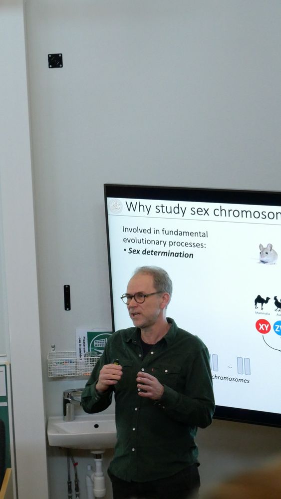 Bengt explaining the significance of sex chromosome research
