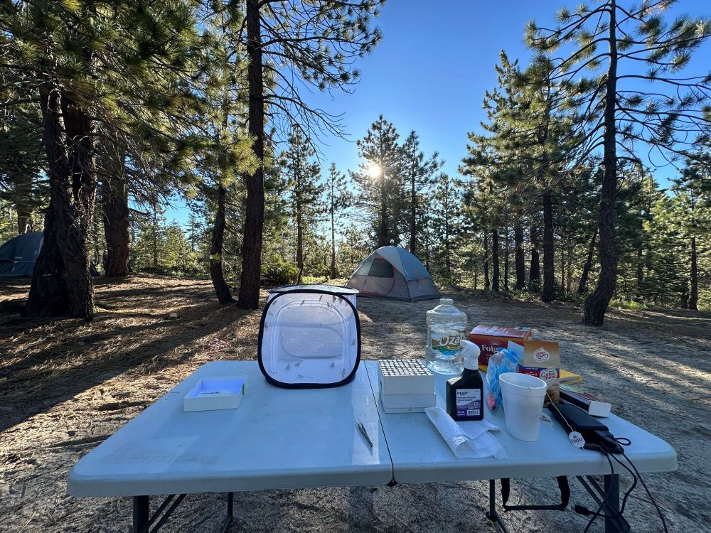 Field work setup