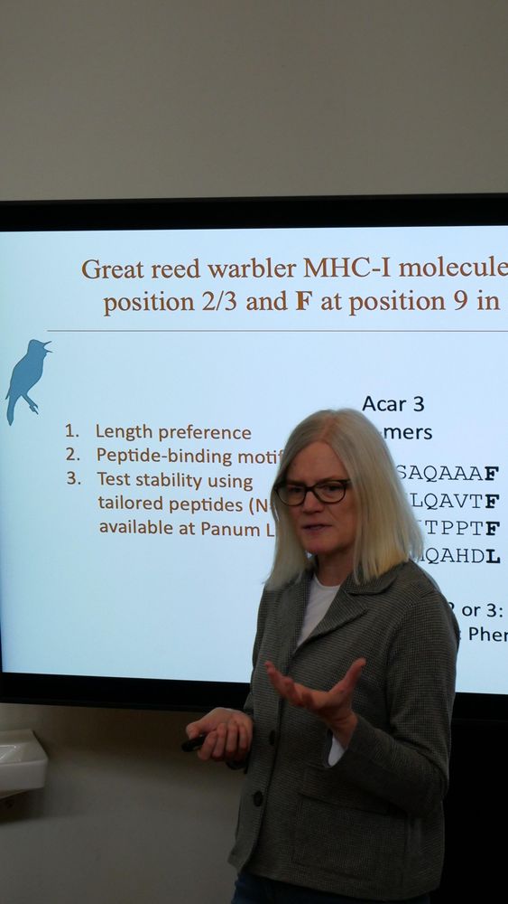 Helena explaining the experiment testing MHC-I molecule's binding ability