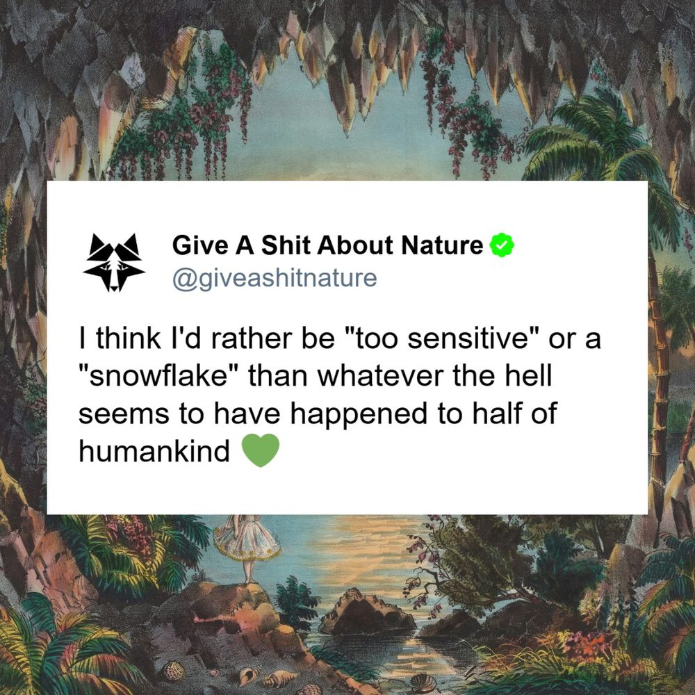 I think I’d rather be “too sensitive” or a “snowflake” that whatever the hell seems to have happened to half of humankind.