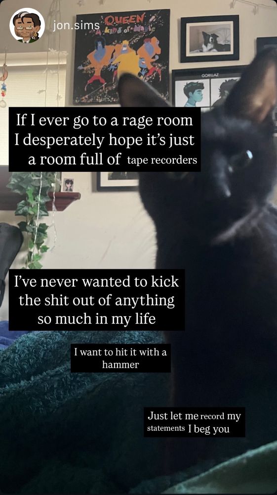 an edited instagram story, to be a parody account of jonathon sims from the magnus archives. there is a black cat in the background with white text on black boxes in front. the text is edited from the original. it reads ‘if I ever go to a rage room I desperately hope it’s just a room full of tape recorders’ ‘i’ve never wanted to kick the shit out of anything so much in my life’ ‘I want to hit it with a hammer’ ‘just let me record my statements I beg you’