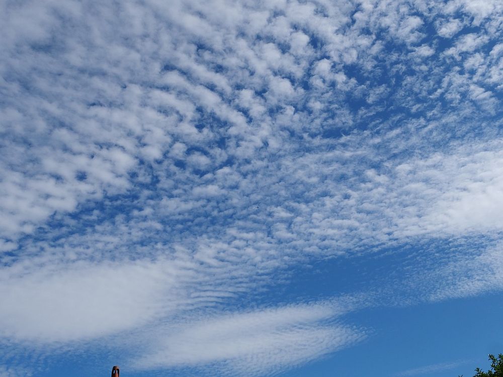various high cloud types. white clouds against an afternoon blue sky. photo in Croydon, South London Friday 27-jun-2025 @16:43