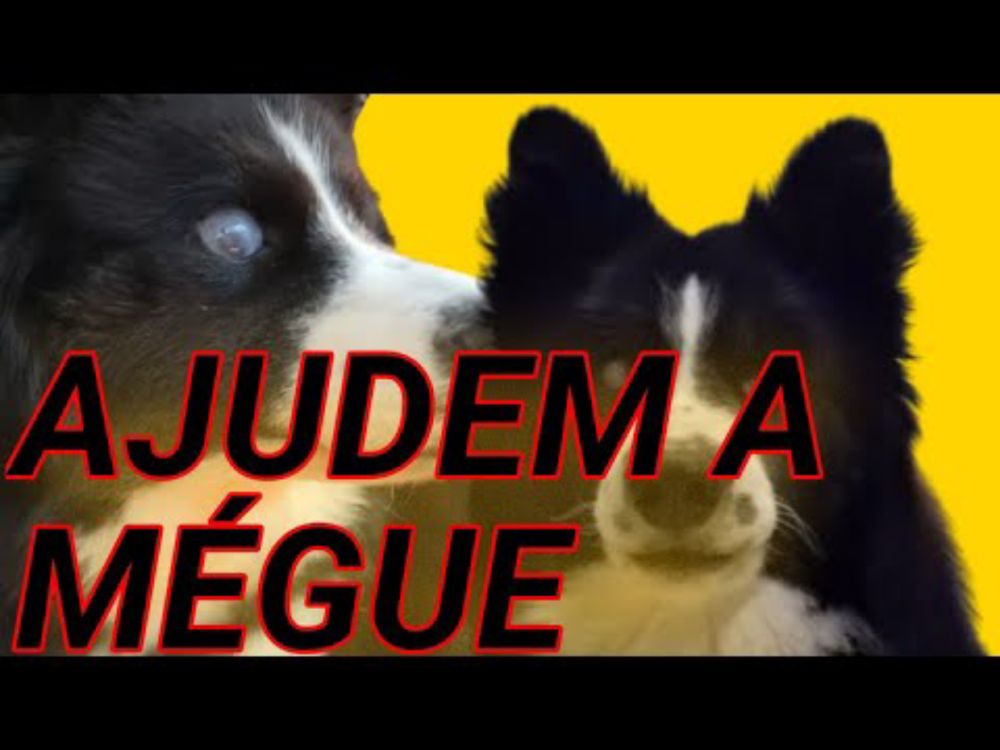 AJUDEM A MÉGUE !!