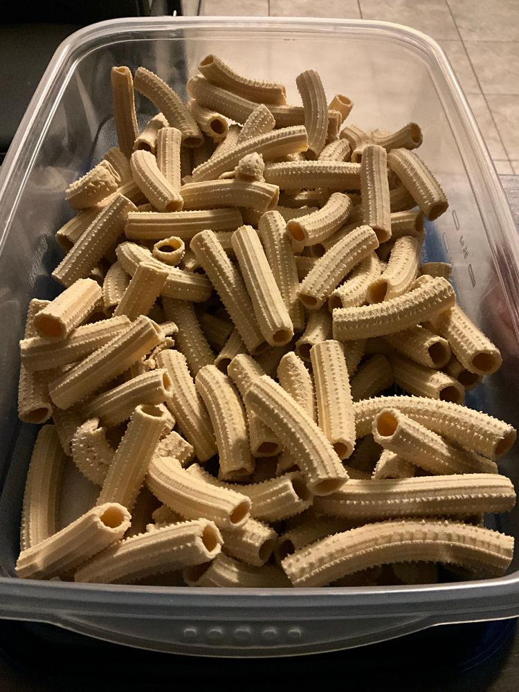A large container filled with homemade rotini. The pasta has bumps on it which makes me think of the sand worms from Dune.