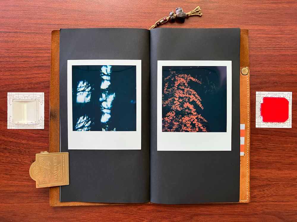 two square polaroid film photos in a black paper notebook. the left photo shows a mysterious bluish light as seen shining through thickly clustered, dark tree branches. it was taken with a mirror filter, which is resting on a piece of paper next to it. the right shows clusters of small red flowers draping in curves from a tree against a black background. the red filter used to take it is also on a piece of paper to the right.